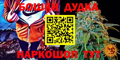 гидропоника Бузулук