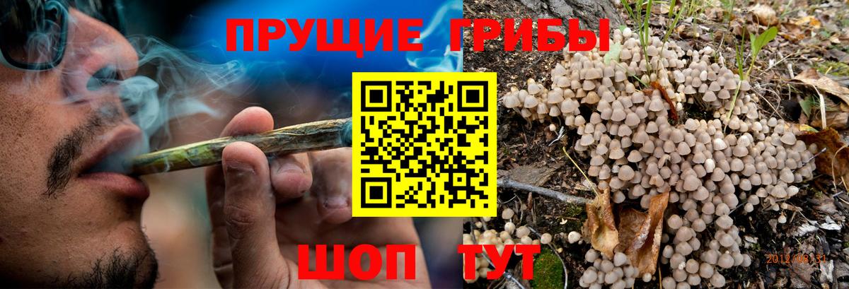 Галлюциногенные грибы мицелий  где найти   Новомосковск  Вход с VPN 