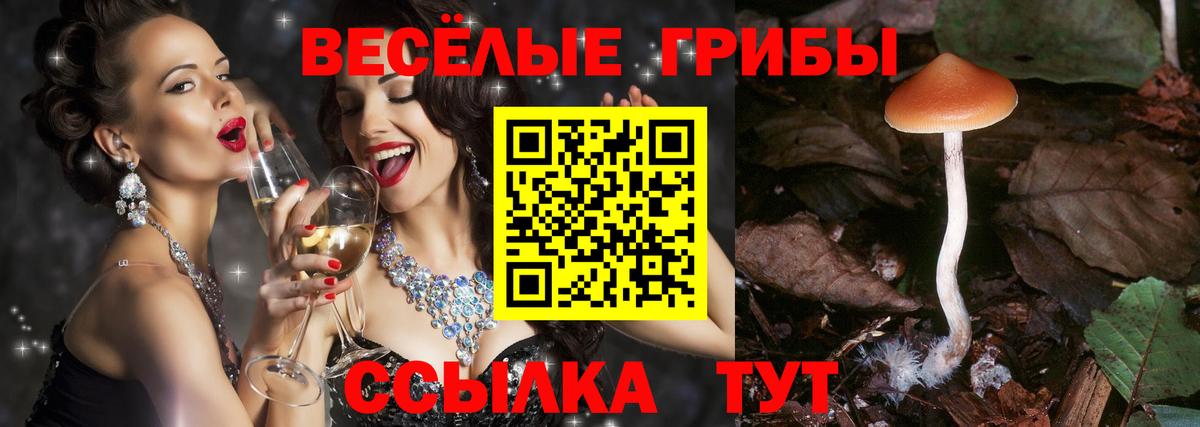 Псилоцибиновые грибы MAGIC MUSHROOMS Новомосковск
